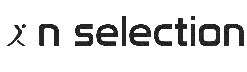 N Selection logo 1